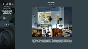 3705 Gallery 1 copy