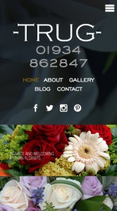 3705 Homescreen_phone copy